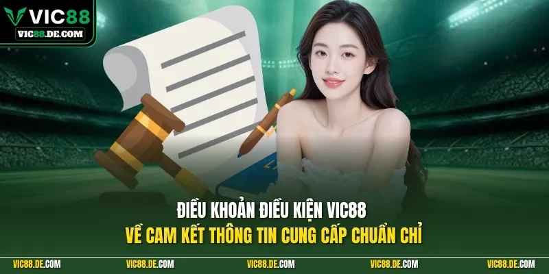 Điều khoản điều kiện VIC88 về cam kết thông tin cung cấp chuẩn chỉ