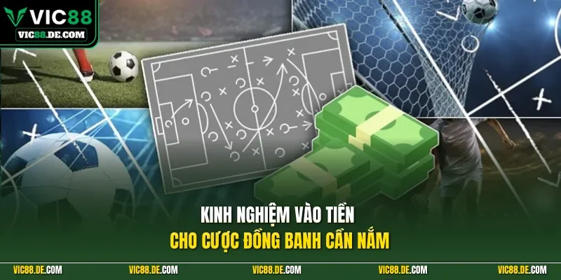 Kinh nghiệm vào tiền cho cược đồng banh cần nắm
