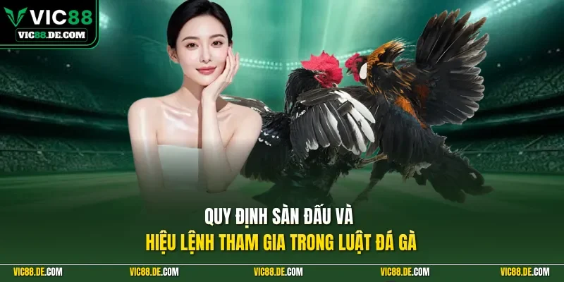 Quy định sàn đấu và hiệu lệnh tham gia trong luật đá gà