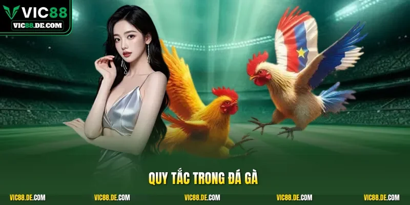 Quy tắc trong đá gà