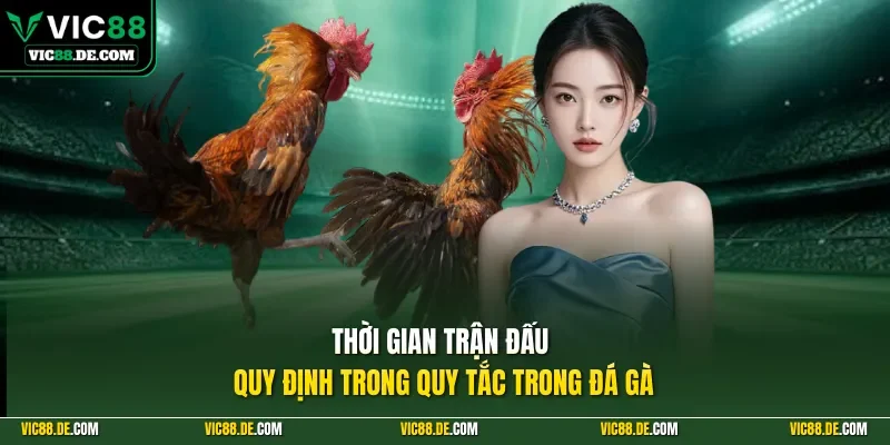 Thời gian trận đấu quy định trong quy tắc trong đá gà