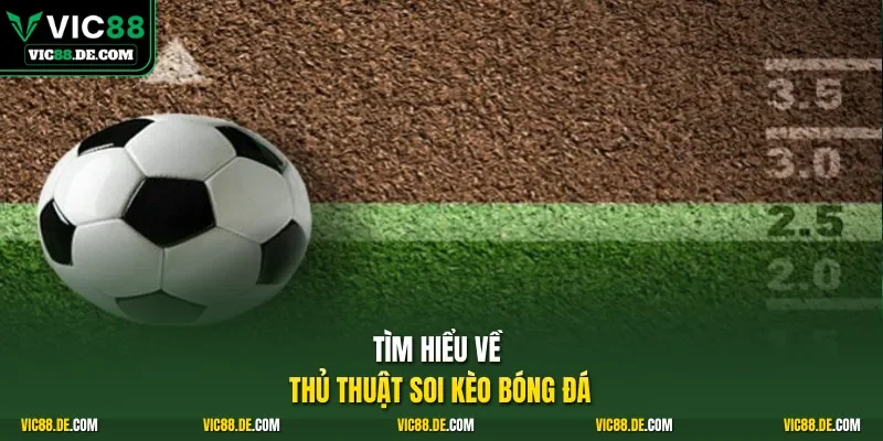 Tìm hiểu về thủ thuật soi kèo bóng đá