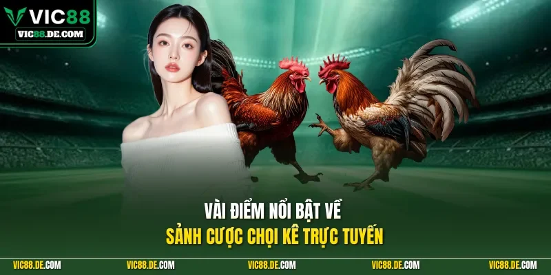 Vài điểm nổi bật về sảnh cược chọi kê trực tuyến